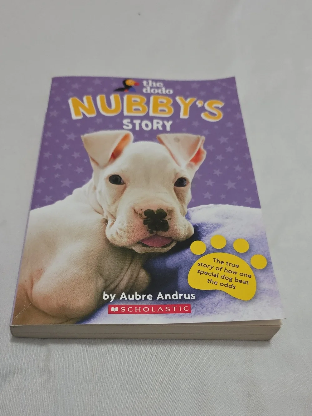 Scholastic Nubby's Story